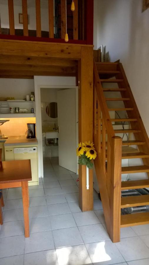 Vakantiehuis Park Village Ocelandes